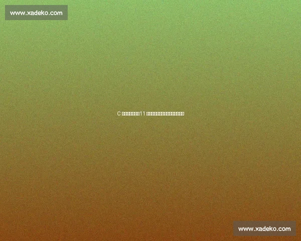 C 罗魅力破纪录！11 万球迷掀人浪见证美国足球新巅峰